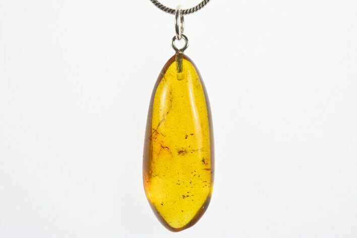 Polished Baltic Amber Pendant (Necklace) - Contains Mite! #311002